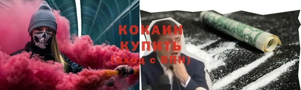 стаф Балахна