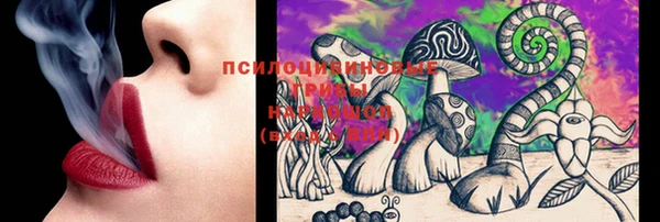 стаф Балахна