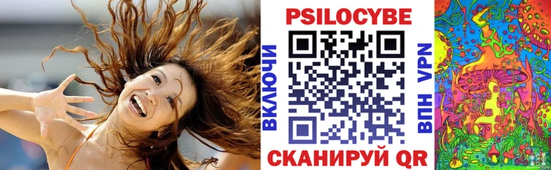 где купить   Красновишерск  даркнет телеграм  Псилоцибиновые грибы мицелий 